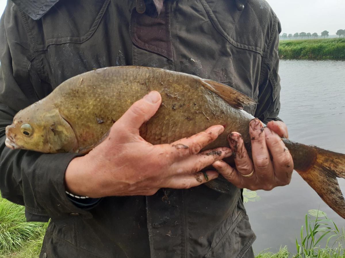 Vakantiehuis De Veldhoen Vrijgelegen Nabij De Rivier De Vecht Beerze Exterior foto